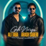 دانلود آهنگ علی طبا و آرش صابری گل نرگس